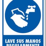 Señal Modelo Sn219 Lave Sus Manos Regularmente 30X40 Normal Estireno