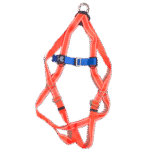 Arnes Cuerpo Completo 3 Argollas A3A